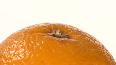 close-up of an orange