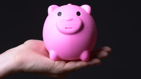 hand holding piggy bank