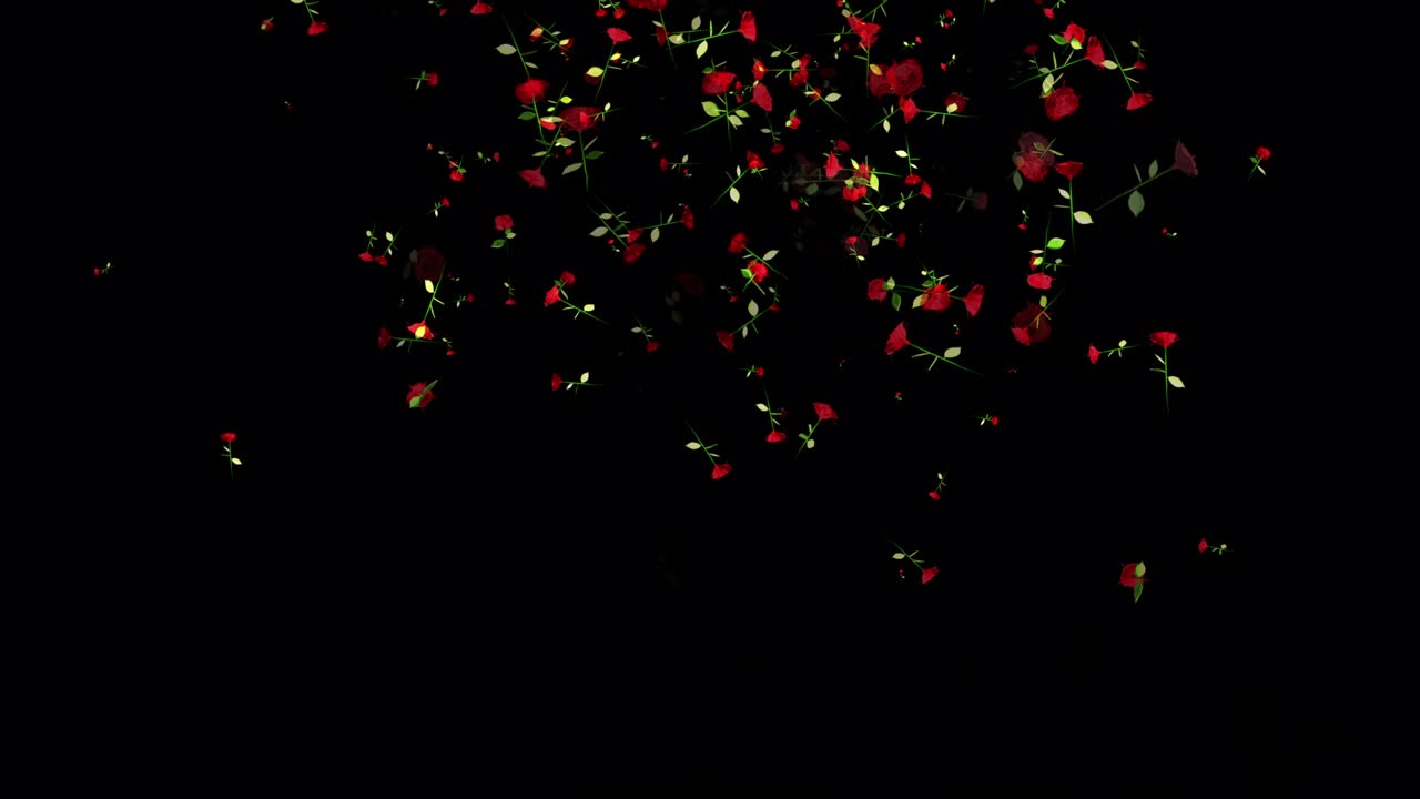 장미 꽃 입자 애니메이션