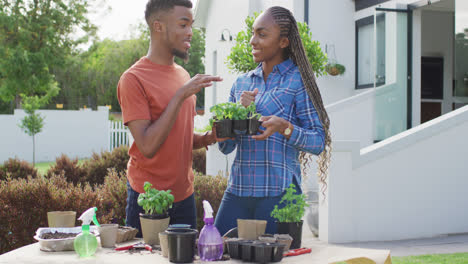 una feliz pareja afroamericana plantando hierbas en el patio trasero
