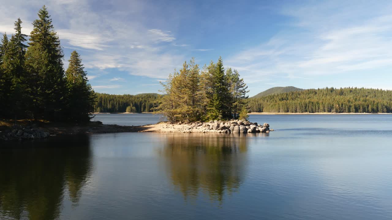 Serene Lake in a Coniferous Forest