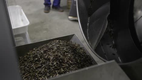 Close-up-shot-of-a-spinning-machine-mixing-sunflower-seed-and-falling-in-a-container