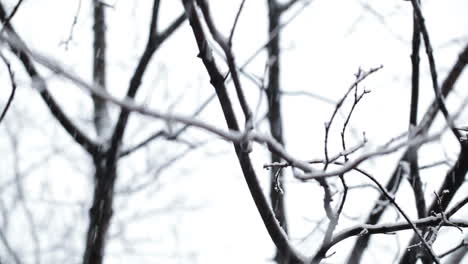 snowfall