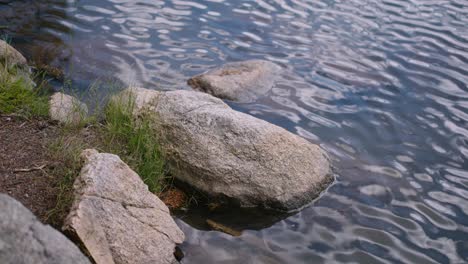 immerse yourself in the serene beauty of a forest lake adorned with large rocks, creating a tranquil oasis of nature's splendor