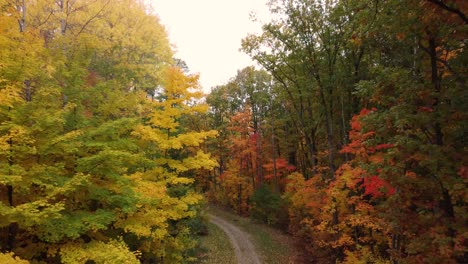 Beautiful-aerial-shot-of-drone-flying-through-the-colourful-trees-in-a-forest-during-fall