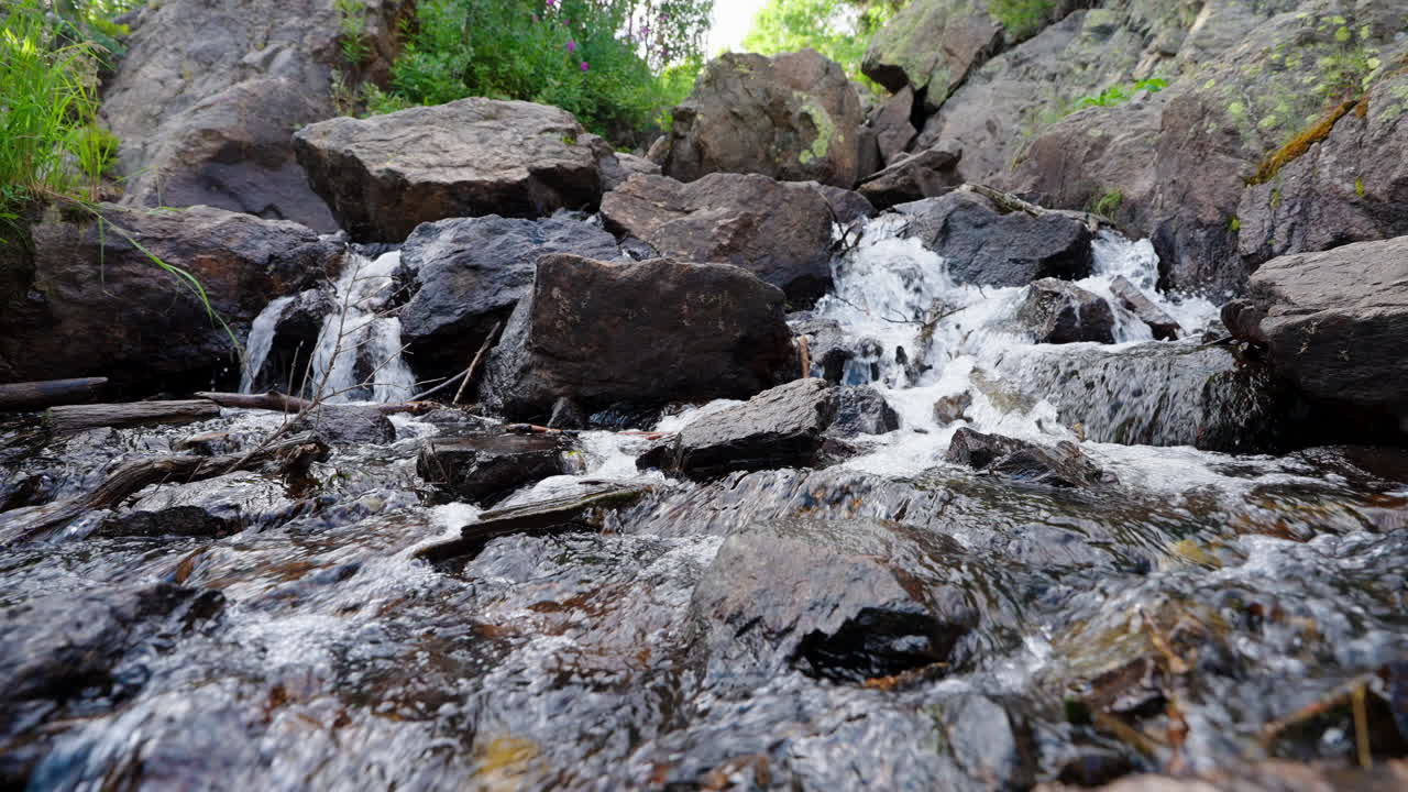 Journey of water as a forest waterfall cuts through green wilderness paths
