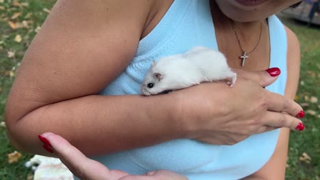 woman holding a white hamster in a park