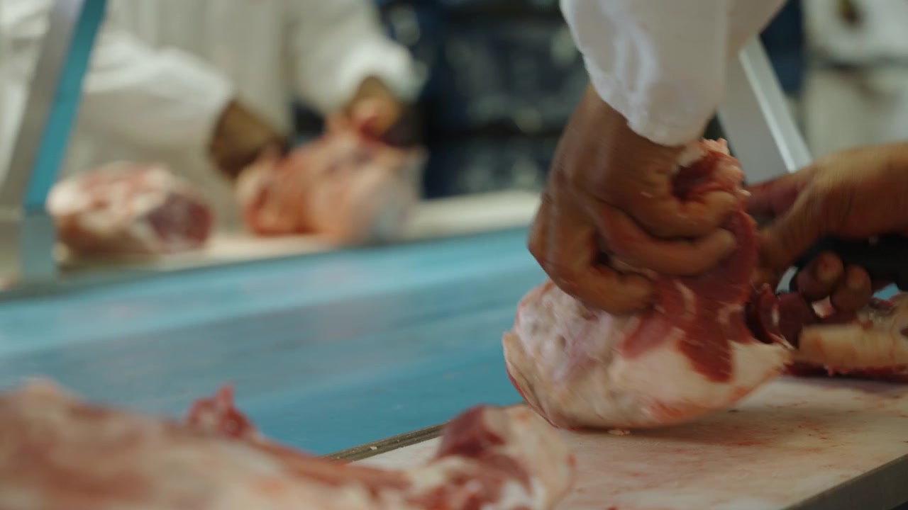 Hands in protective sleeves arrange raw meat portions along a blue conveyor station in an industrial butchery.