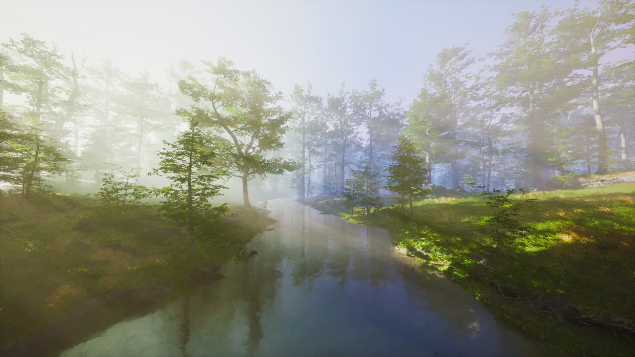 fpv 드론에 의해 나무를 통해 빛 광선을 가진 마법의 숲