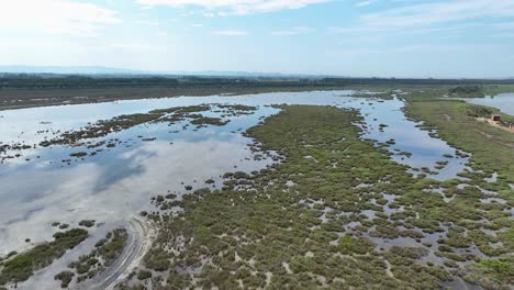 Marschland-Mit-Meerwasser-Und-Vegetation-Sowie-über-Dem-Wasser-Fliegenden-Vögeln