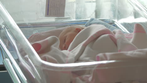 a newborn baby girl lying awake in a hospital baby cart