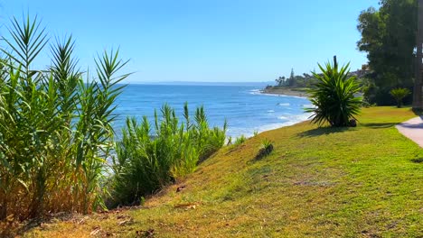 hermoso destino de vacaciones cielo azul y vista al mar con palmeras y hierba verde en marbella estepona, españa, 4k inclinando hacia arriba