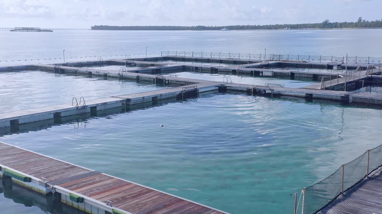 카리브 해, 푼타 카나, 도미니카 공화국의 돌고래 풀 섬 공원 - 공중 드론 샷