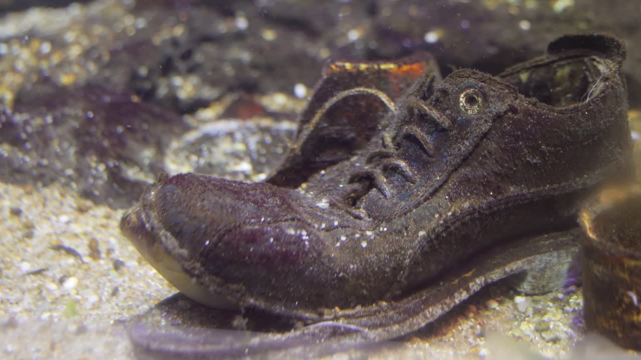 problemas medioambientales relacionados con la contaminación del agua.