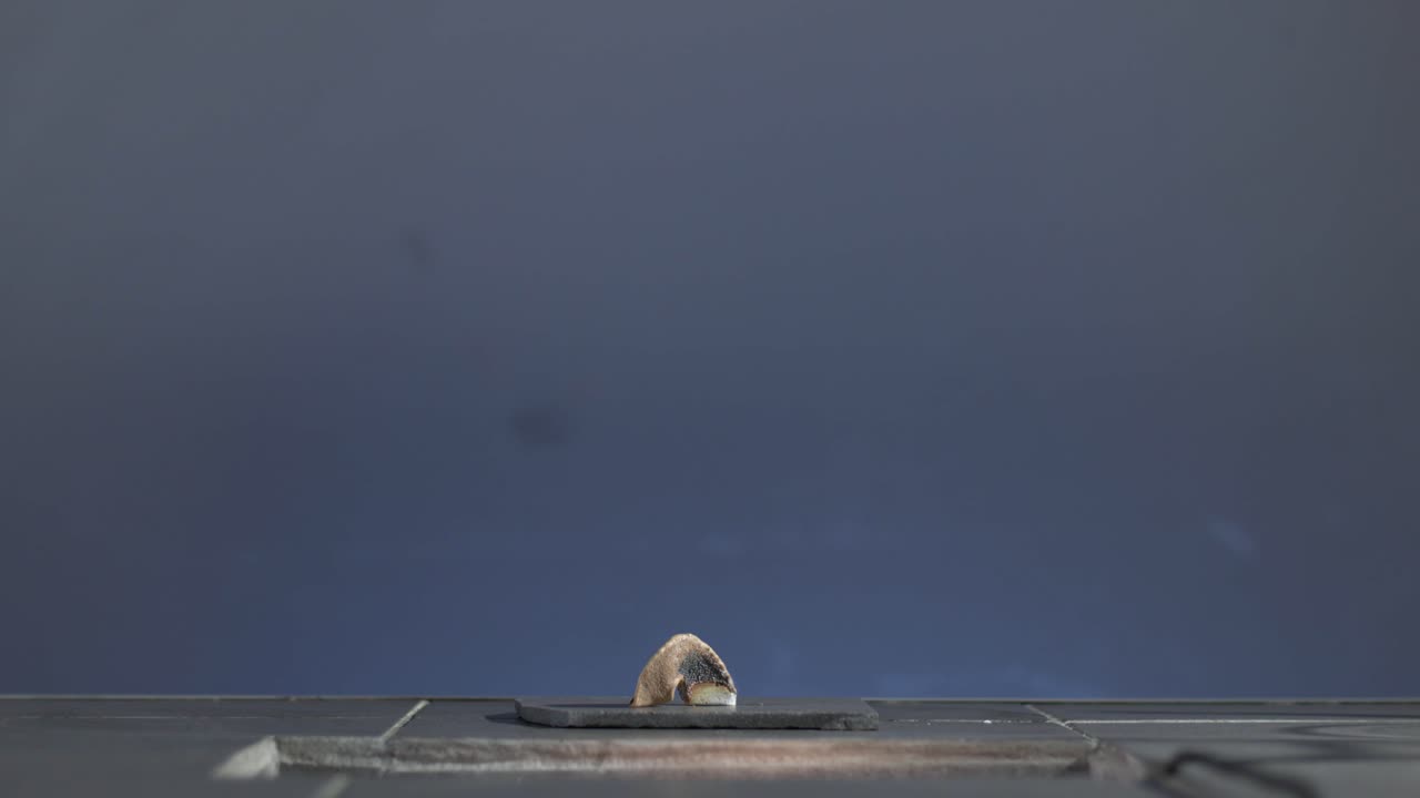 고대 유물 전시