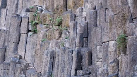 nature geological formation columnar basalt rock cliff, pan tilt down