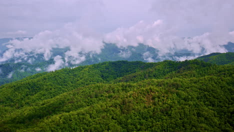 drone showcases atmospheric wonder in the smokies.