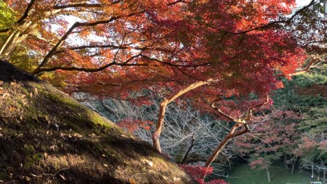 close up detail of japanese straw roof house with fall colors