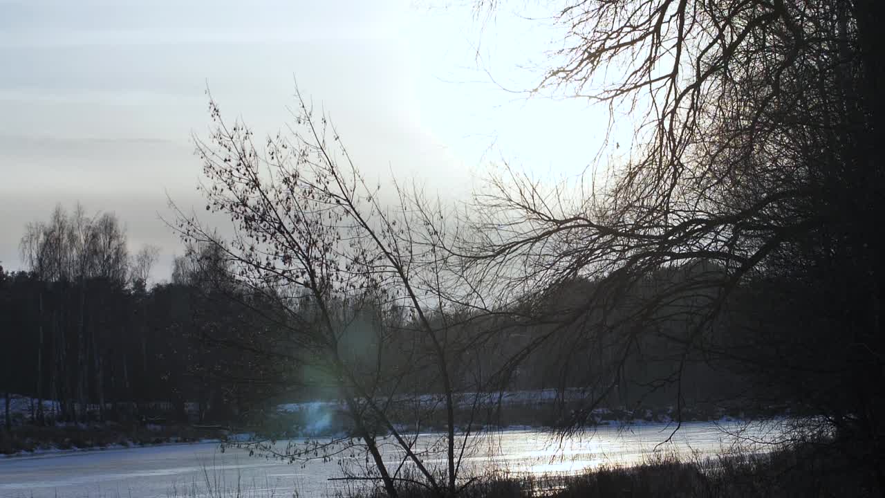 木々の後ろに沈む夕日、凍った川