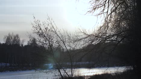 Puesta-De-Sol-Detrás-De-Los-árboles-Río-Congelado