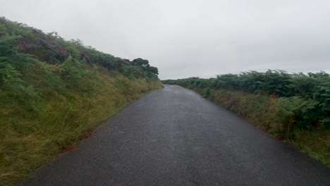 fast driving pov on countryside road with overcast sky and pureple heather on sidebank in north devon uk 4k