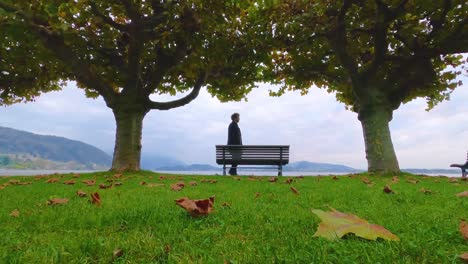 man taking a leisurely walk through the forest in switzerland sitting down on a bench and taking in the view of the scenery