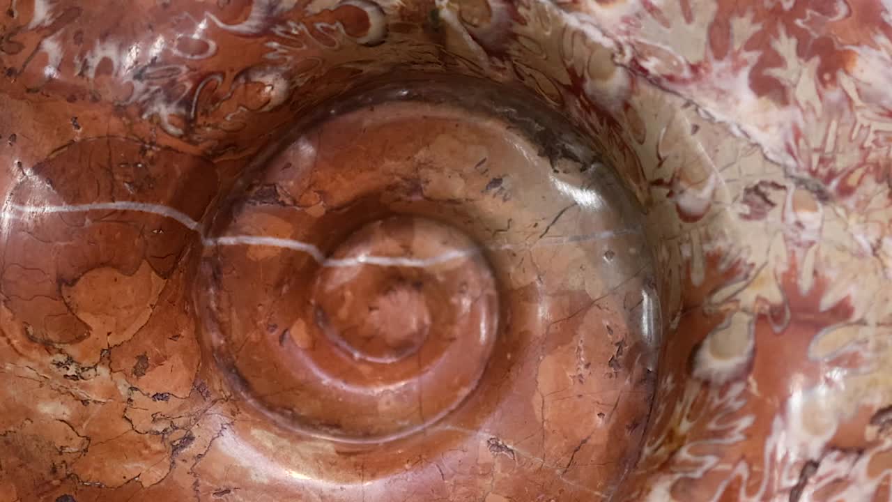 Macro view of a rotating ancient ammonite fossil, showcasing intricate spiral patterns and detailed textures