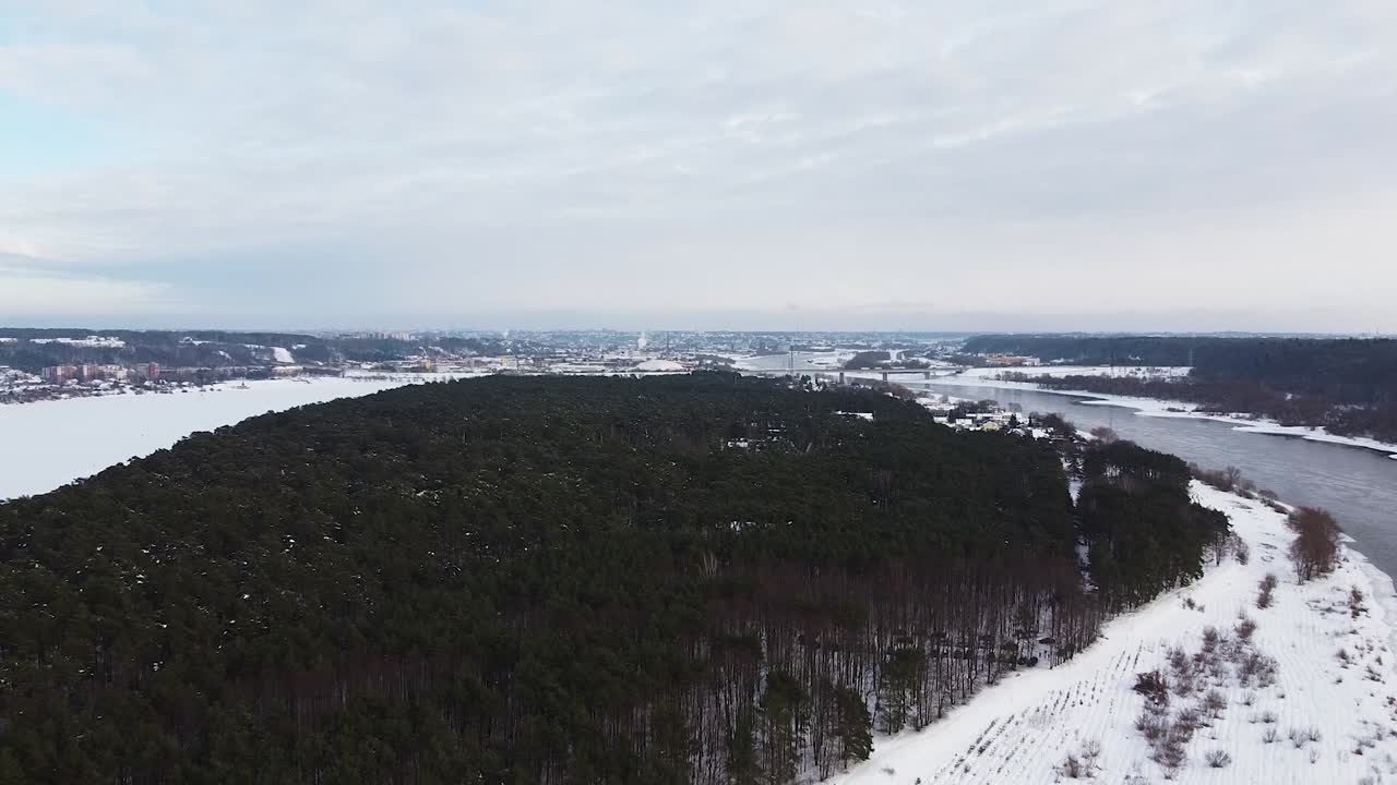 Vakker barskog ved elven Nemunas' bredd om vinteren
