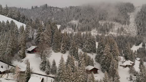 Aguilón-Abajo-De-Cabañas-Acogedoras-En-Bosques-En-Montañas-Cubiertas-De-Nieve