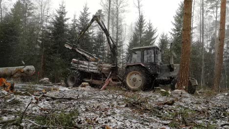 forestry tractor with grab arm picking tree trunks in forest on light snow day