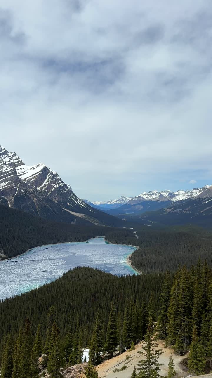 Lago Peyto con ghiaccio incrinato e acque turchesi alla base di montagne innevate e foreste di pini nel Parco Nazionale di Banff