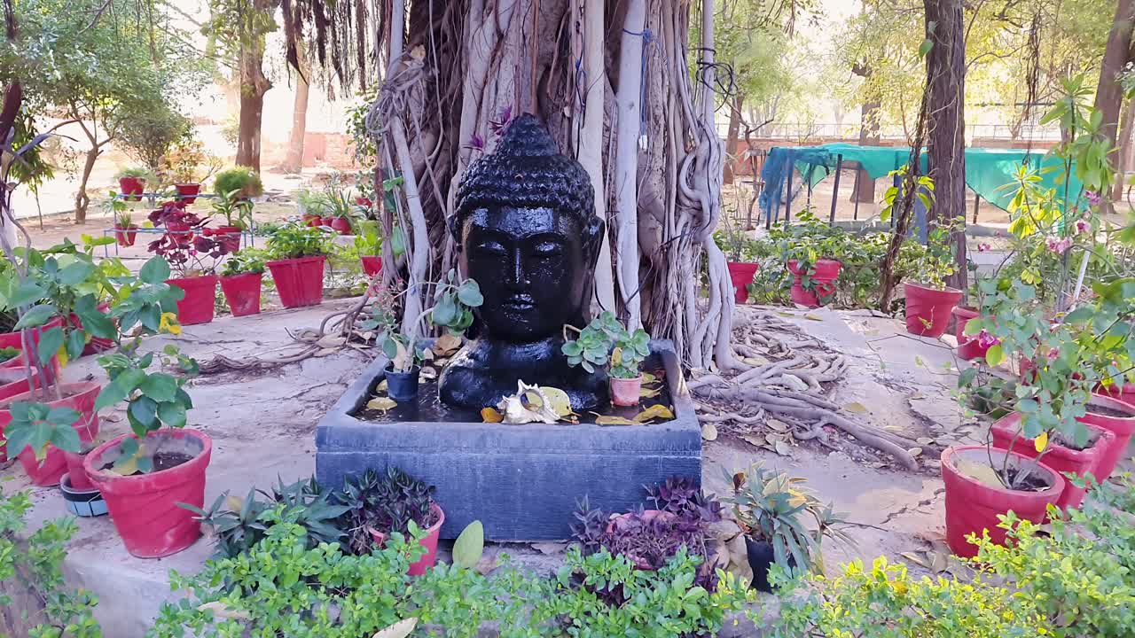 Statua sacra del Buddha con acqua che scorre alla luce del mattino