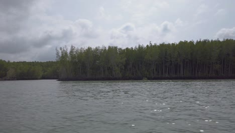 Wasser-Mit-Blick-Auf-Mangroven-Mit-Dem-Motor-überqueren