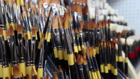 Many-art-brush-lined-up-at-local-store-,