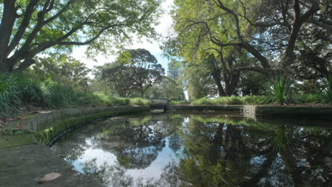 a small lake in sydney’s botanical gardens is backdropped by a bridge