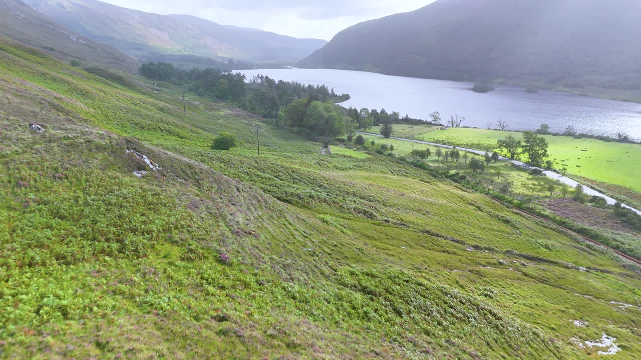 Drone camera smoothly glides above a lush, green valley with wildflowers, revealing a misty lake and rolling hills in the Scottish Highlands