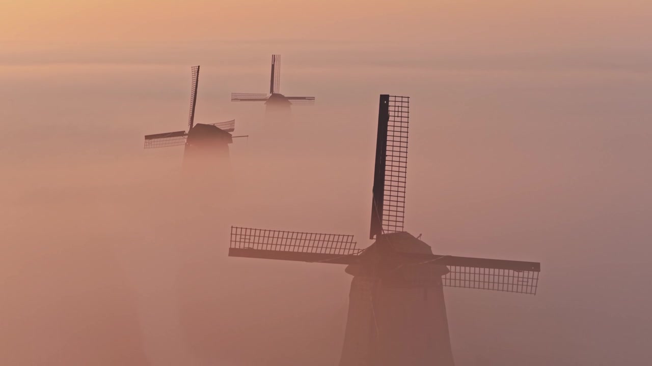 Hollandske vindmøller, der dukker frem fra tyk morgentåge