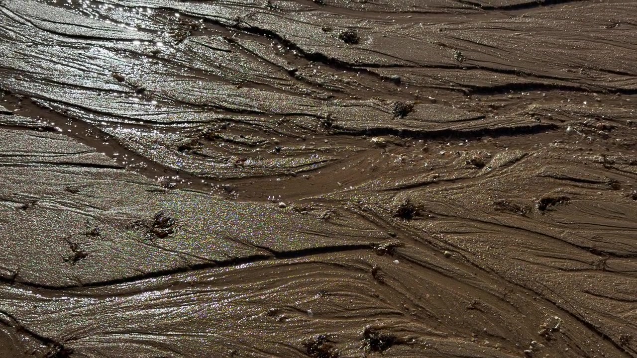 Sabbia e acqua di mare sulla spiaggia di Vau