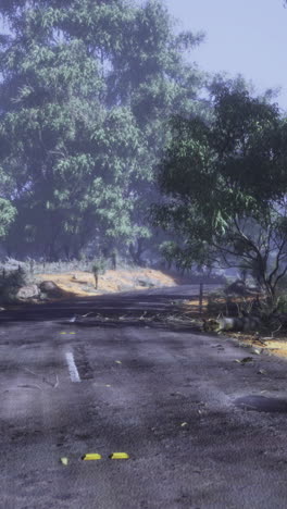 misty road through a lush wilderness in the early morning light