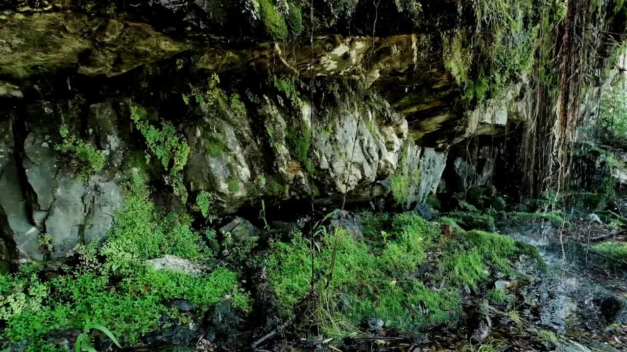 una cueva rocosa cubierta de musgo y helechos debajo de una cascada