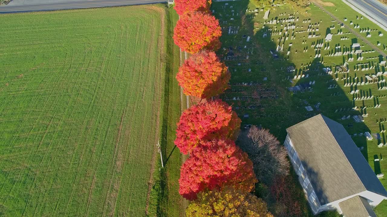 밝고 화창한 아침에 농지를 내려다보는 밝은 오렌지색과 붉은 잎이 있는 가을 나무 줄의 드론 보기
