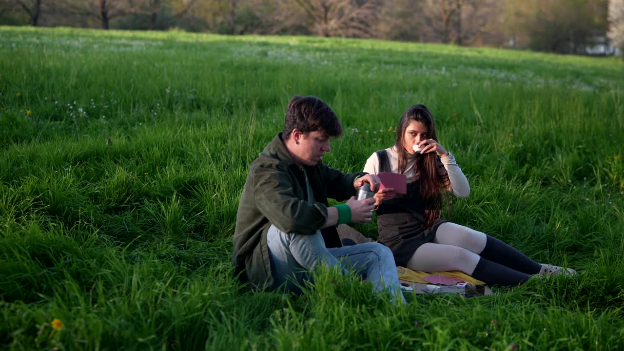 공원 에서 피크닉 을 즐기는 부부