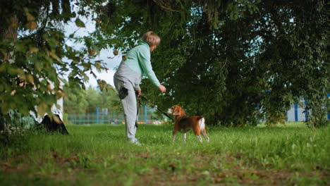 canine specialist standing up while instructing bulldog with hand signals to turn around on lush green grass field surrounded by trees during outdoor training session promoting discipline and trust