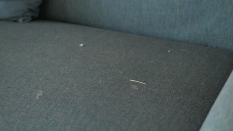 cerca de un sofá azul polvoriento