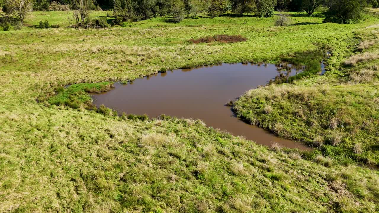 Drone footage captures a serene pond surrounded by vibrant greenery in the Australian outback under bright daylight