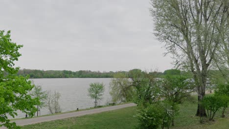 calm lake surrounded by green foliage