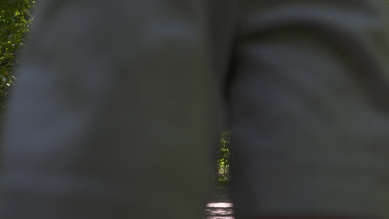 Little boy runs along a forest path toward the camera