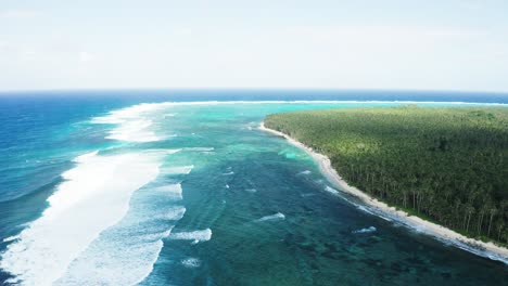 aerial view of tropical shore