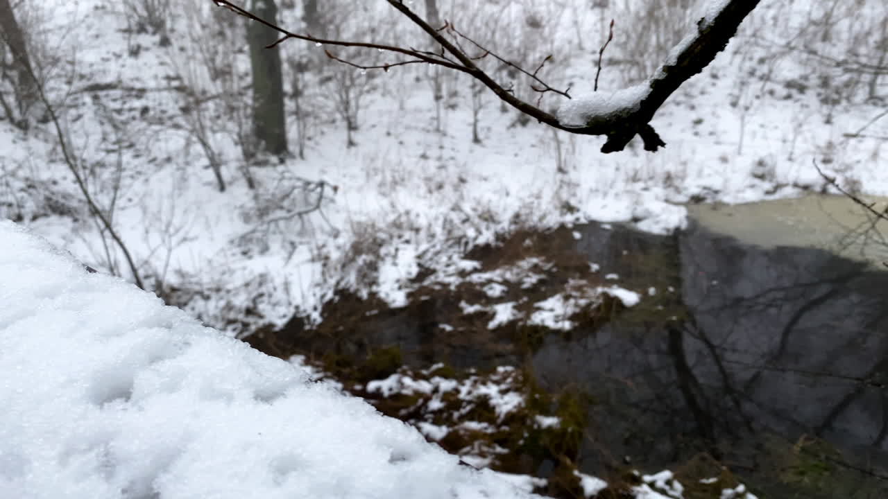 górowo iłaeckie의 하얀 눈으로 덮인 나무와 풀로 둘러싸인 작은 부분적으로 얼어붙은 호수