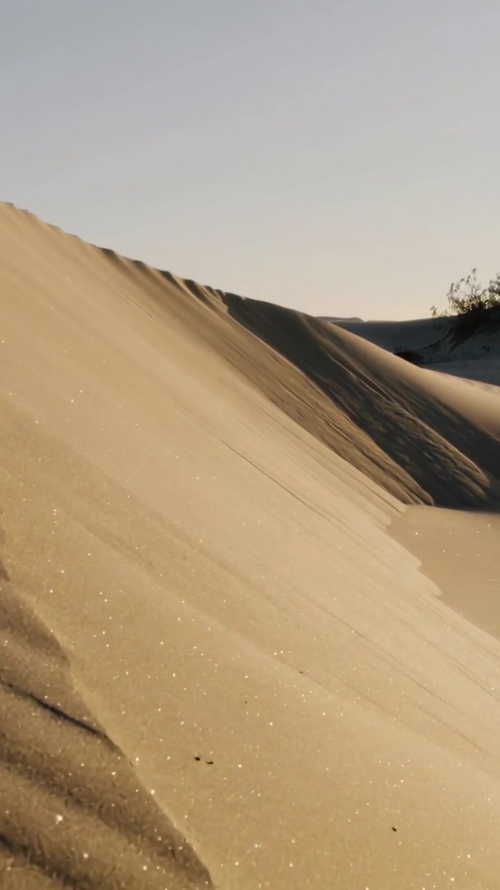 Video verticale: La telecamera si muove verso l'alto e a destra, mostrando increspature e creste di dune illuminate dal sole nel deserto